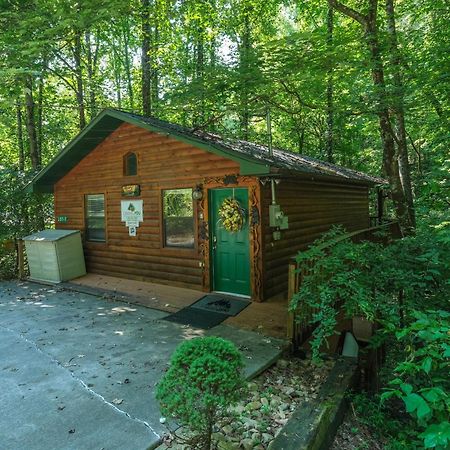 Beary Cozy Villa Pigeon Forge Exterior photo